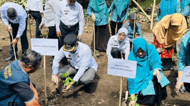 TP-PKK Buton Tengah Gelar Gerakan Tanam Cabai di Benteng Liwuwawono, Bupati Azhari Dorong Revitalisasi Situs Budaya. fOTO ist